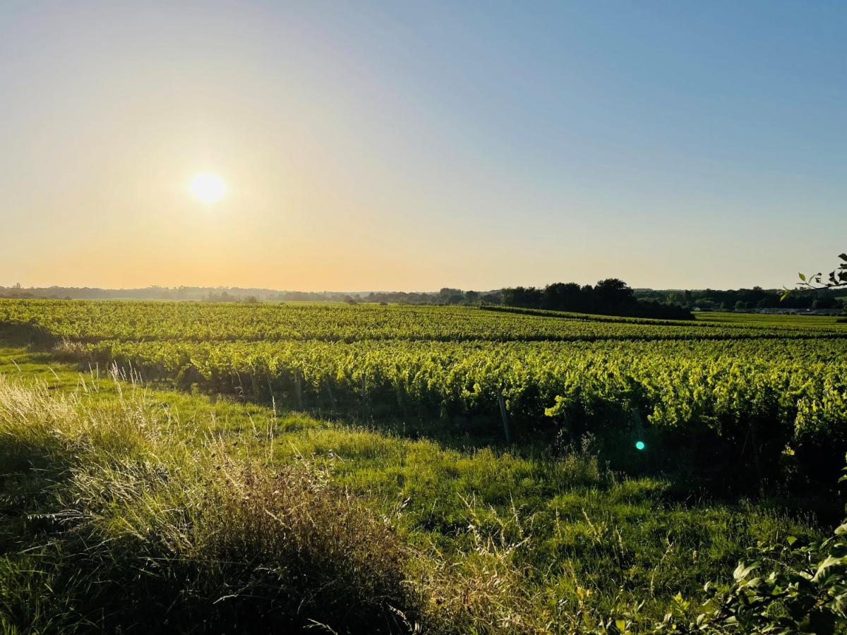 La Vigne D'Or Acomodação com café da manhã Teuillac Exterior foto